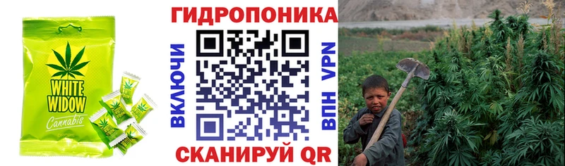 гидра tor  Шелехов  Cannafood марихуана 