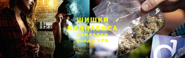 эйфоретик Бородино