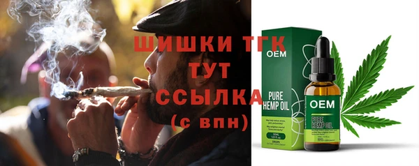 эйфоретик Бородино