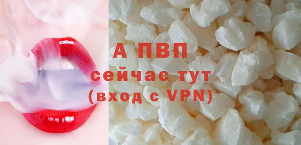 СК Бронницы