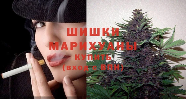 СК Бронницы