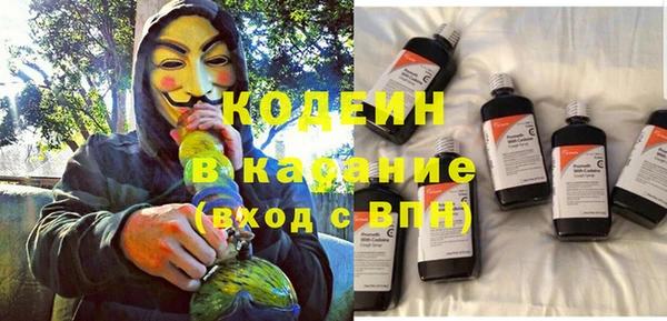 СК Бронницы