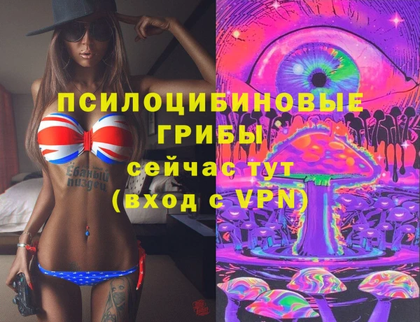 эйфоретик Бородино