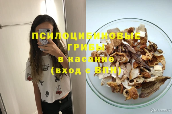 СК Бронницы