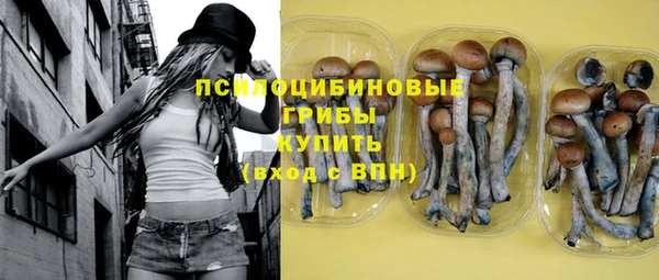 стаф Бугульма
